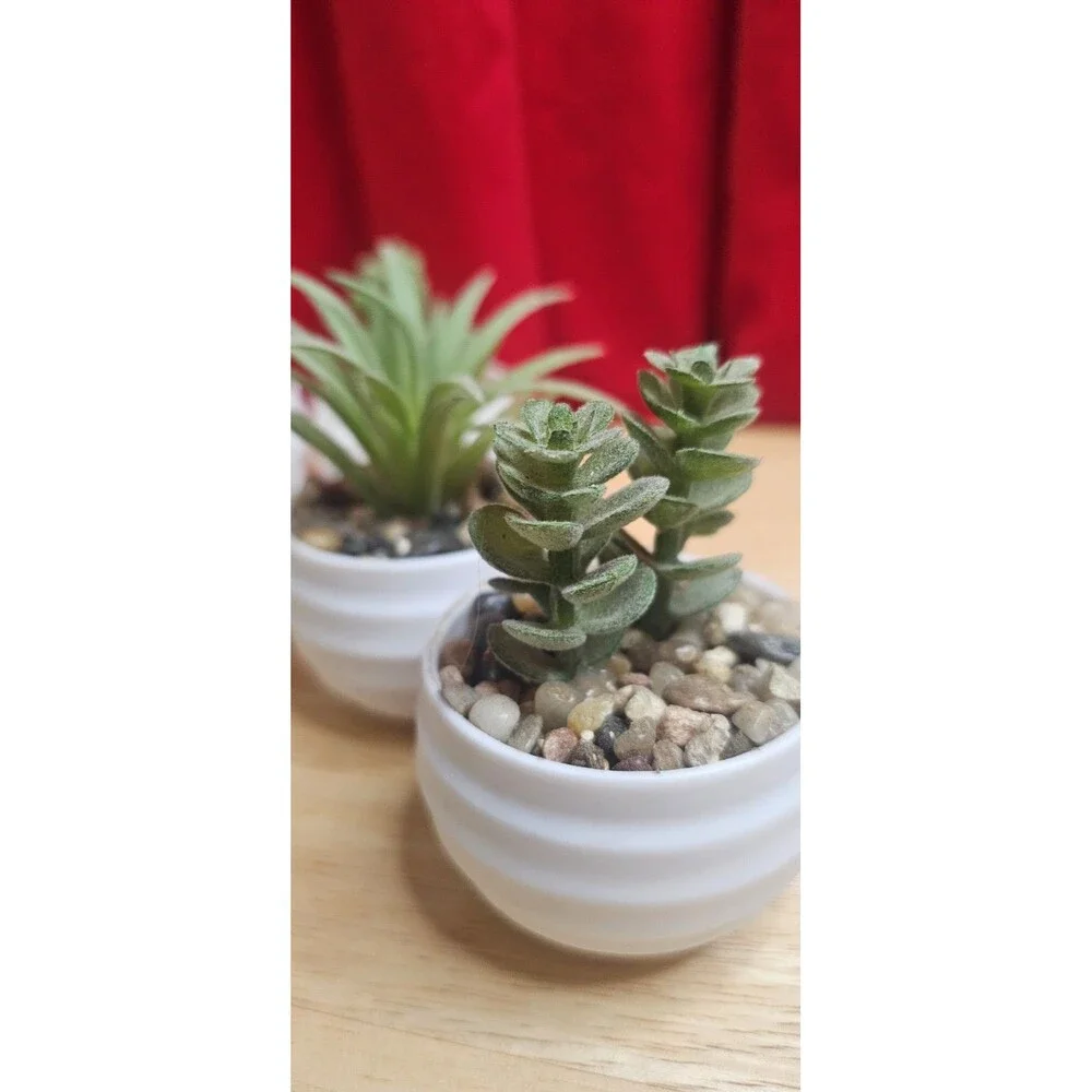 Set of 6 Faux Succulent Plants in White Pots Mini Artificial Desk Home Decor